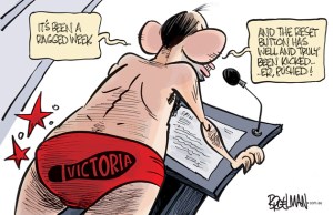 Abbott's reset button